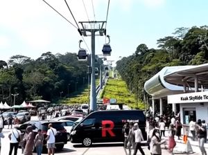 Lansia Tempuh 370 Km Demi Wisata Impian, Ternyata Cuma Tipuan AI