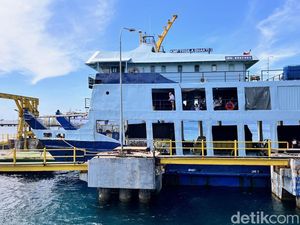 Turis Asing Tertahan di Kapal Imbas Truk Blokade Pintu Keluar Ketapang Turis Asing Tertahan di Kapal Imbas Truk Blokade Pintu Keluar Ketapang