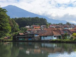 Menyesap Aroma dan Keindahan Desa Wisata Kopi Cibeureum Kuningan Menyesap Aroma dan Keindahan Desa Wisata Kopi Cibeureum Kuningan