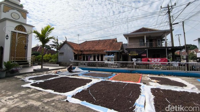 Rahasia Tersembunyi di Balik Secangkir Kopi Cibeureum Kuningan