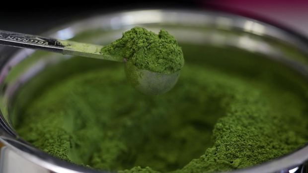 Booming Matcha, Petani Teh Jepang Kewalahan Penuhi Permintaan BERKELEY, CALIFORNIA - JULY 15: Sam Butarbutar takes a scoop of matcha from a container as he makes a matcha drink at Third Culture on July 15, 2025 in Berkeley, California. A recent surge in matcha's popularity has led to a global matcha shortage, driven by soaring demand and limited production in Japan, where high-quality matcha is grown. The labor-intensive harvesting and processing methods of matcha, along with a decline in the number of Japanese tea farmers, have further exacerbated the shortage. Justin Sullivan/Getty Images/AFP (Photo by JUSTIN SULLIVAN / GETTY IMAGES NORTH AMERICA / Getty Images via AFP)