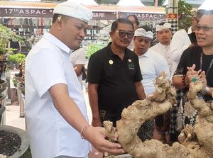 Mahayastra Bangga Gianyar Jadi Tuan Rumah Aspac, Ratusan Bonsai Tampil