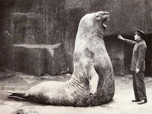 Potret Aneh tapi Nyata dari Masa Lalu yang Bikin Tercengang