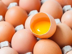7 Makanan yang Mengandung Vitamin D3 dan Manfaatnya bagi Tubuh