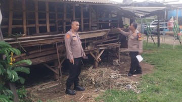 Geger 8 Ekor Kambing di Depok Dijagal di Kandang, Pelaku Sisakan Jeroan
