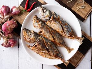 3 Resep Ikan Kembung Rumahan yang Sedap Buat Lauk 3 Resep Ikan Kembung Rumahan yang Sedap Buat Lauk