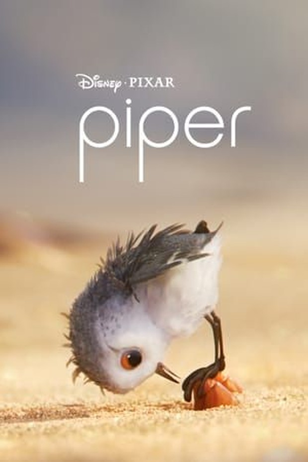 Film Piper (2016)/Foto: Disney+Hotstar