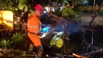 Pohon Tumbang Timpa Kios di Bogor gegara Hujan-Angin Kencang