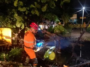 Pohon Tumbang Timpa Kios di Bogor gegara Hujan-Angin Kencang