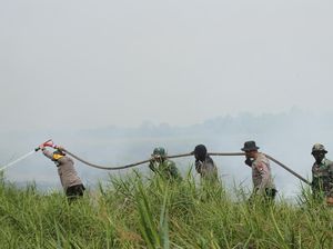 Polda Riau Tangkap Pembakar 50 Hektare Lahan di Rokan Hilir!