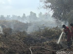 Titik Panas di Jambi Meningkat, Paling Banyak di Tanjabbar Titik Panas di Jambi Meningkat, Paling Banyak di Tanjabbar