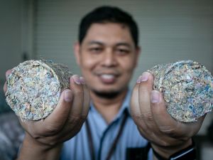 Limbah Uang Kertas Bekas BI di Solo Disulap Jadi Energi Limbah Uang Kertas Bekas BI di Solo Disulap Jadi Energi