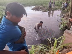 Polisi Selidiki Penemuan Mayat Pria di Bendungan Batujai Lombok