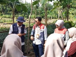 Pertamina Gelar Pelatihan Budidaya Tanaman Berkelanjutan di OKU Pertamina Gelar Pelatihan Budidaya Tanaman Berkelanjutan di OKU
