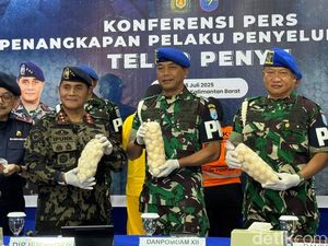 Telur Penyu Disebut Bisa Tingkatkan Stamina Pria, Dirjen PSDKP: Hoaks!