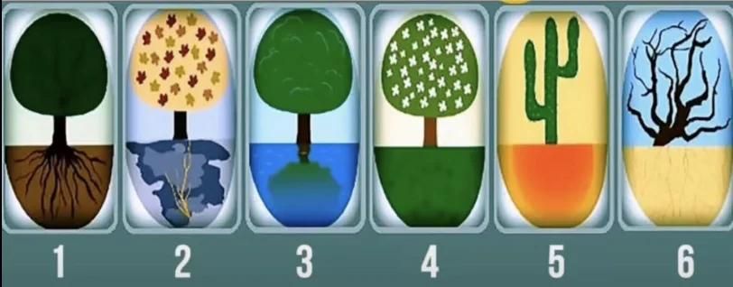 Test Kepribadian/Foto: Lina Therapy