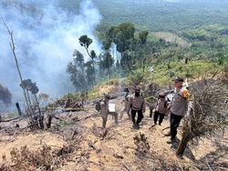 Kolaborasi 3 Polsek di Rohul hingga BPBD Berjibaku Padamkan Titik Api