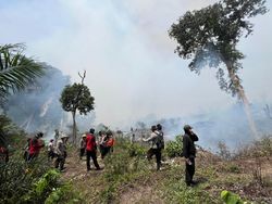 30 Hektare Lahan Bukit S Terbakar, 3 Pria di Rohul Ditangkap Polisi