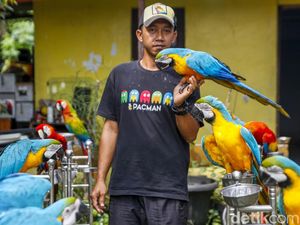 Dari Bengkel ke Langit: Kisah Albi dan Pasukan Parrotnya Dari Bengkel ke Langit: Kisah Albi dan Pasukan Parrotnya