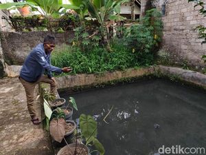 Saluran Air di Sukabumi Keluarkan Bau Menyengat Saluran Air di Sukabumi Keluarkan Bau Menyengat