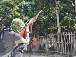 Monyet Liar Serang Pemukiman di Jombang Serang Anak dan Lansia Monyet Liar Serang Pemukiman di Jombang Serang Anak dan Lansia