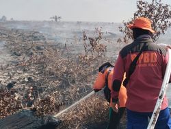 5 Wilayah di Riau Terjadi Karhutla Serentak, Petugas Berjibaku Padamkan Api