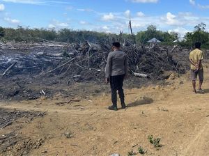 Tegas! Polda Riau Tangkap Pemilik Kebun yang Bakar Lahan di Kuansing