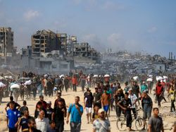 Video Palestina: Serangan Israel di Gaza adalah Bencana Ekologi!