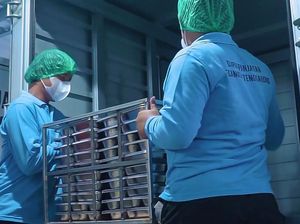 Gandeng UMKM Lokal, BRI Dukung Rantai Pasok Program MBG