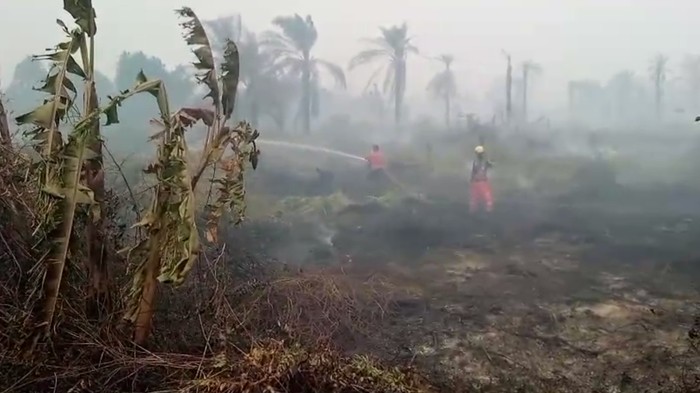 Damkar Kota Dumai ikut turun menolong pemadaman karhutla di Kabupaten Rokan Hilir, Provinsi Riau, Minggu (20/7/2025).
