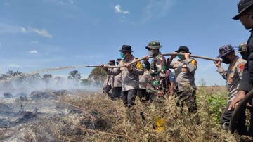 Potret Polri-TNI hingga Damkar Berjibaku Lawan Karhutla di Riau