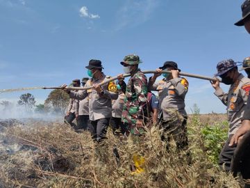 Potret Polri-TNI hingga Damkar Berjibaku Lawan Karhutla di Riau