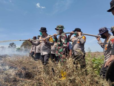Potret Polri-TNI hingga Damkar Berjibaku Lawan Karhutla di Riau