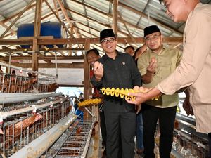 Mendes Yandri Panen Melon-Telur Ayam Garapan BUMDes Karya Mandiri di Sragen