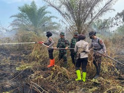 Karhutla di Dumai Memasuki Hari Kedua, Polri dan TNI Maksimalkan Pemadaman
