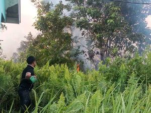 2 Ha Lahan di Kampar Terbakar: Rumah Nyaris Hangus, Pelaku Ditangkap