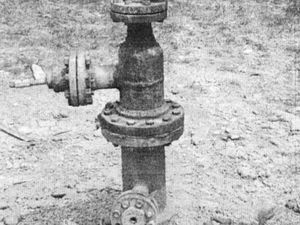 Jejak Telaga Tunggal Langkat, Sumur Minyak Pertama di Indonesia