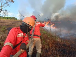Karhutla Kembali Terjadi di Ogan Ilir, Tim Masih Padamkan Api