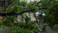 Topan Wipha Terjang Hong Kong, Warga Bertahan di Tengah Badai