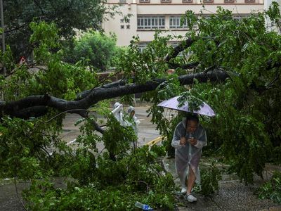 Topan Wipha Terjang Hong Kong, Warga Bertahan di Tengah Badai