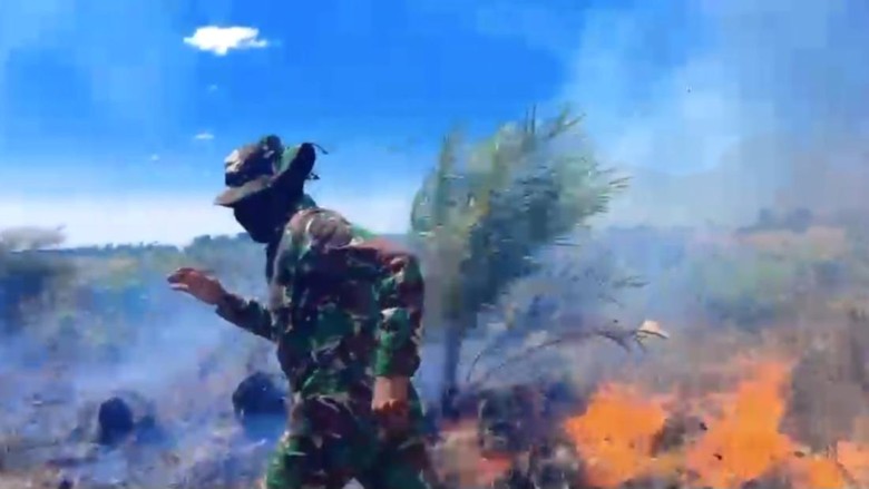 Cerita Prajurit TNI Dikepung Api-Motor Nyaris Hangus saat Karhutla di Rohil