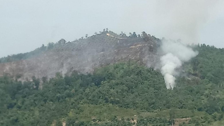 Kapolda Riau Pantau Hotspot di Kampar Kiri Via Udara, Begini Kondisinya