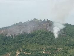 Kapolda Riau Pantau Hotspot di Kampar Kiri Via Udara, Begini Kondisinya