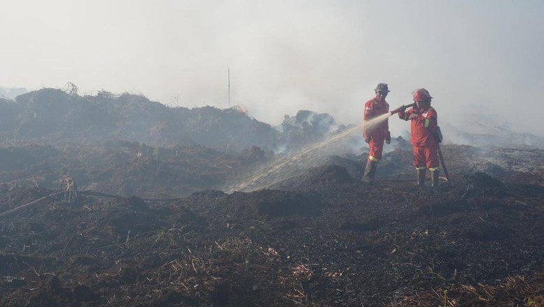 Penampakan Terkini Kebakaran Lahan Gambut di Muaro Jambi