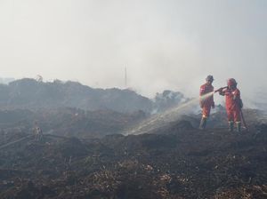 Penampakan Terkini Kebakaran Lahan Gambut di Muaro Jambi Penampakan Terkini Kebakaran Lahan Gambut di Muaro Jambi