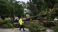 Pohon-pohon Tumbang Diterjang Topan Wipha di China