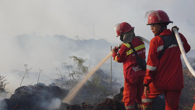 Cuaca dan Angin Jadi Kendala Padamkan Lahan Gambut di Muaro Jambi