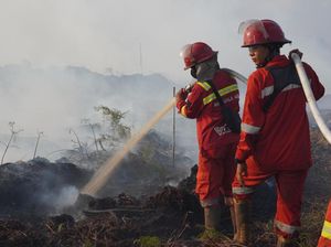 Cuaca dan Angin Jadi Kendala Padamkan Lahan Gambut di Muaro Jambi Cuaca dan Angin Jadi Kendala Padamkan Lahan Gambut di Muaro Jambi