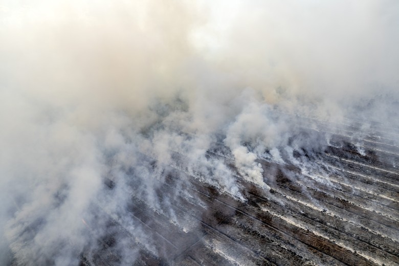 Hari Ke-10 Pemadaman Kebakaran Lahan Gambut di Riau