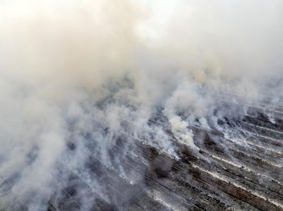 70 Hektare Lahan Gambut di Muaro Jambi Terbakar